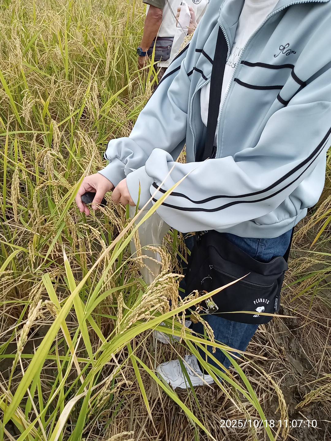 登呂遺跡へ課外授業