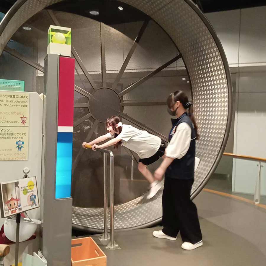 トップ画像集
